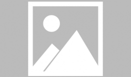 杀戮都市动漫,生存与毁灭的残酷轮回